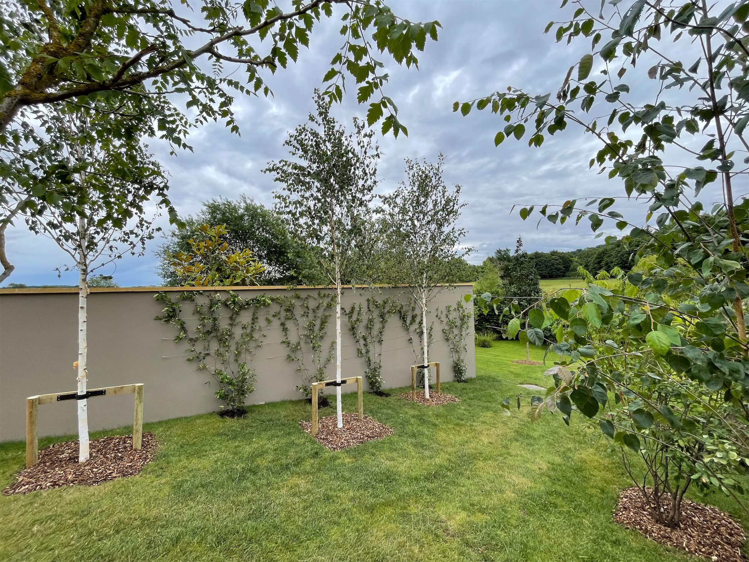 Semi Mature Tree Planting - Nature First Trees | Semi-Mature Trees